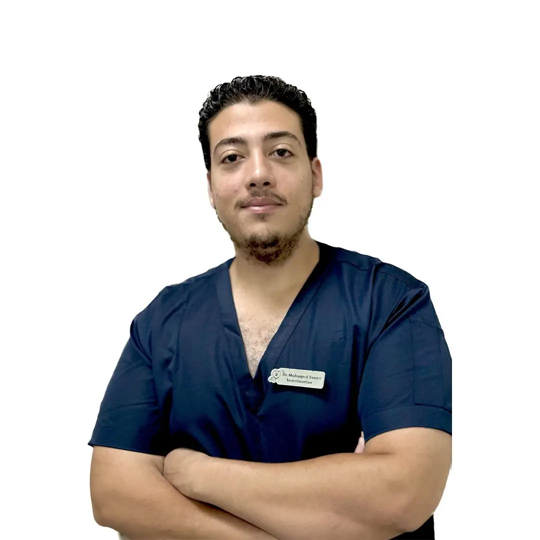 Dr Mohamed